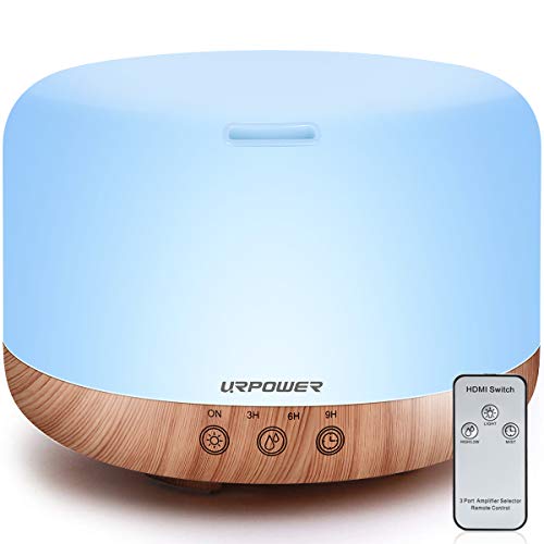 Essential Oils Diffuser for Allergies Does It Really Help? [10 Best