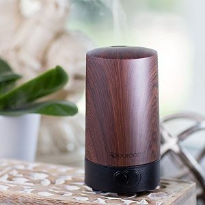 SpaRoom HerbalAir USB Mister Diffuser 80ml