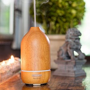 SpaRoom Wood Natura Diffuser 80ml